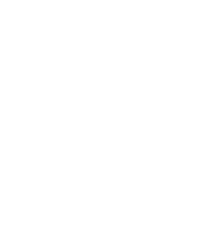 logo kleur